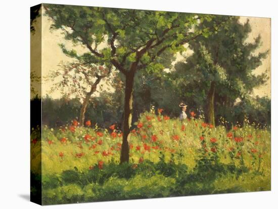 The Poppy Field-Alphonse Asselbergs-Stretched Canvas