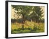 The Poppy Field-Alphonse Asselbergs-Framed Giclee Print