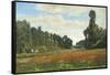 The Poppy Field-Hippolyte Delpy-Framed Stretched Canvas