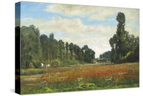 The Poppy Field-Hippolyte Delpy-Stretched Canvas