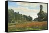 The Poppy Field-Hippolyte Delpy-Framed Stretched Canvas