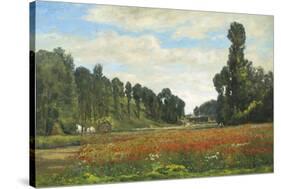 The Poppy Field-Hippolyte Delpy-Stretched Canvas