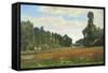 The Poppy Field-Hippolyte Delpy-Framed Stretched Canvas