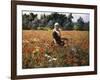 The Poppy Field-George Hitchcock-Framed Giclee Print