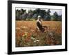 The Poppy Field-George Hitchcock-Framed Giclee Print