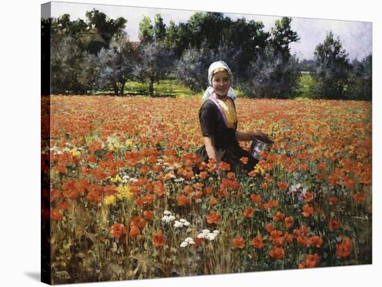The Poppy Field-George Hitchcock-Stretched Canvas