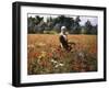 The Poppy Field-George Hitchcock-Framed Giclee Print