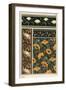 The poppy, Papaver somniferum, in wallpaper and fabric patterns. Lithograph by Verneuil.-null-Framed Giclee Print