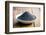 The Poppy Seed in Bowl-jirkaejc-Framed Photographic Print