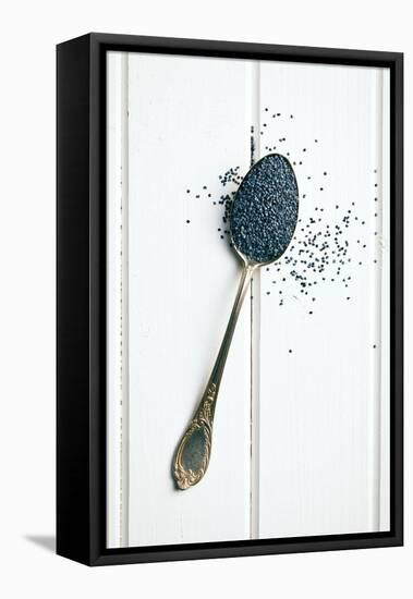 The Poppy Seed in Silver Spoon-jirkaejc-Framed Stretched Canvas