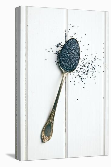 The Poppy Seed in Silver Spoon-jirkaejc-Stretched Canvas