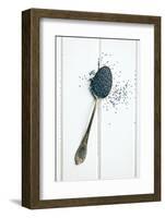 The Poppy Seed in Silver Spoon-jirkaejc-Framed Photographic Print