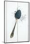 The Poppy Seed in Silver Spoon-jirkaejc-Mounted Photographic Print