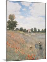 The Poppyfield, Near Argenteuil - Focus-Monet Claude-Mounted Giclee Print