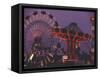 The Popular Midway Section of the New York State Fair-Michael Okoniewski-Framed Stretched Canvas