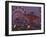 The Popular Midway Section of the New York State Fair-Michael Okoniewski-Framed Photographic Print