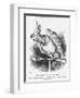 The Popular Poll-Parrot, 1866-John Tenniel-Framed Giclee Print