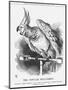 The Popular Poll-Parrot, 1866-John Tenniel-Mounted Giclee Print