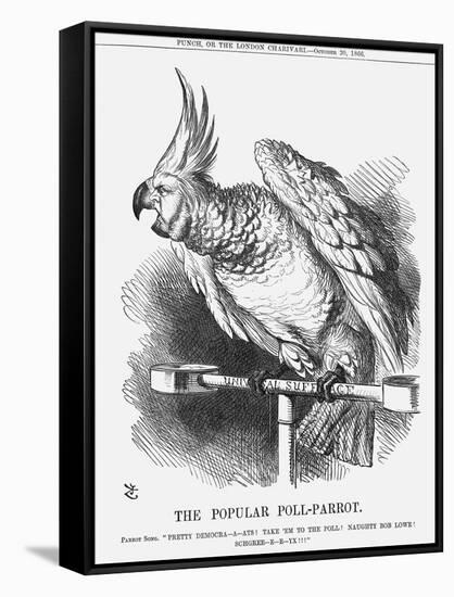 The Popular Poll-Parrot, 1866-John Tenniel-Framed Stretched Canvas