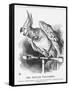 The Popular Poll-Parrot, 1866-John Tenniel-Framed Stretched Canvas