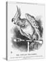 The Popular Poll-Parrot, 1866-John Tenniel-Stretched Canvas