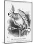 The Popular Poll-Parrot, 1866-John Tenniel-Mounted Giclee Print