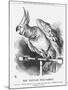 The Popular Poll-Parrot, 1866-John Tenniel-Mounted Giclee Print