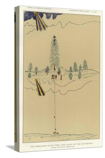 Stretched Canvas Print, , large