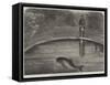 The Porpoise in the Zoological Society's Gardens, Regent's Park-null-Framed Stretched Canvas