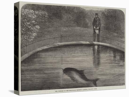 The Porpoise in the Zoological Society's Gardens, Regent's Park-null-Stretched Canvas