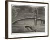 The Porpoise in the Zoological Society's Gardens, Regent's Park-null-Framed Giclee Print