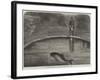 The Porpoise in the Zoological Society's Gardens, Regent's Park-null-Framed Giclee Print