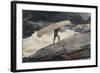 The Portage, 1897-Winslow Homer-Framed Giclee Print