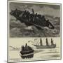 The Portland 'Bus, or Steam Launch Attached to H M S Hercules, in Fair and Foul Weather-null-Mounted Giclee Print