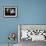 The Postman Always Rings Twice, Cecil Kellaway, John Garfield, Lana Turner, 1946-null-Framed Photo displayed on a wall