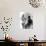 The Postman Always Rings Twice, Lana Turner, John Garfield, 1946-null-Photo displayed on a wall