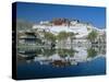 The Potala Palace and Reflection, Lhasa, Tibet, China, Asia-Gavin Hellier-Stretched Canvas