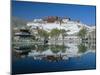 The Potala Palace and Reflection, Lhasa, Tibet, China, Asia-Gavin Hellier-Mounted Photographic Print