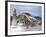 The Potala Palace Former Chief Residence of the Dalai Lama, Lhasa, Tibet, China, Asia-Michael Runkel-Framed Photographic Print