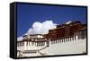 The Potala Palace, UNESCO World Heritage Site, Lhasa, Tibet, China, Asia-Simon Montgomery-Framed Stretched Canvas