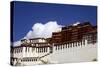 The Potala Palace, UNESCO World Heritage Site, Lhasa, Tibet, China, Asia-Simon Montgomery-Stretched Canvas