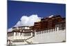 The Potala Palace, UNESCO World Heritage Site, Lhasa, Tibet, China, Asia-Simon Montgomery-Mounted Photographic Print
