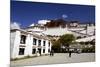 The Potala Palace, UNESCO World Heritage Site, Lhasa, Tibet, China, Asia-Simon Montgomery-Mounted Photographic Print