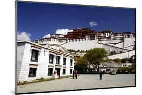The Potala Palace, UNESCO World Heritage Site, Lhasa, Tibet, China, Asia-Simon Montgomery-Mounted Photographic Print