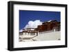 The Potala Palace, UNESCO World Heritage Site, Lhasa, Tibet, China, Asia-Simon Montgomery-Framed Photographic Print