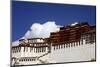 The Potala Palace, UNESCO World Heritage Site, Lhasa, Tibet, China, Asia-Simon Montgomery-Mounted Photographic Print