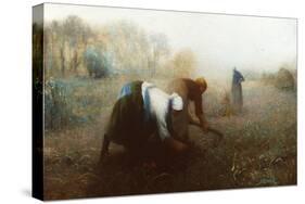 The Potato Diggers-William Brock-Stretched Canvas