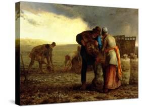 The Potato Harvest, 1855-Jean-François Millet-Stretched Canvas