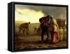 The Potato Harvest, 1855-Jean-François Millet-Framed Stretched Canvas