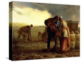 The Potato Harvest, 1855-Jean-François Millet-Stretched Canvas